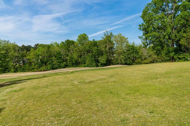 112 Royal Troon, Campobello, SC 29322 - photo 25