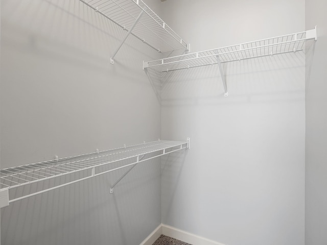 311 Hayfield Ct, Boiling Springs, SC 29316 - view of walk in closet