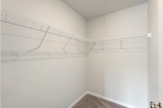 5034 Radley Rd, Chesenee, SC 29323 - photo 22