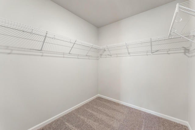 5034 Radley Rd, Chesenee, SC 29323 - photo 25