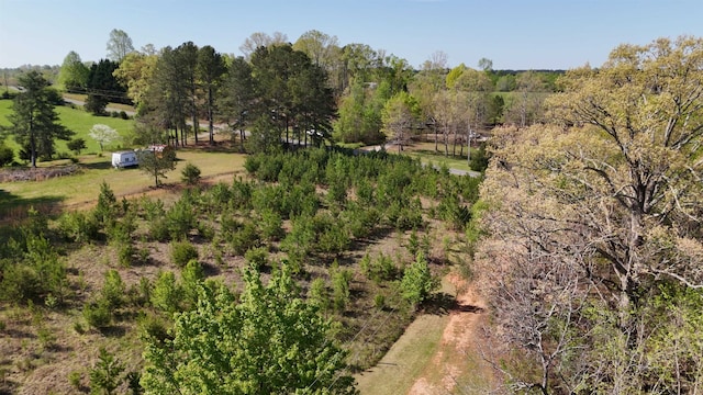 523 Mcdade Rd, Tryon, NC 28782
