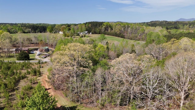 523 Mcdade Rd, Tryon, NC 28782
