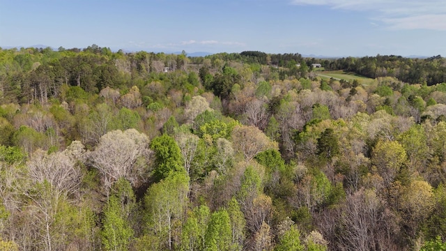 523 Mcdade Rd, Tryon, NC 28782