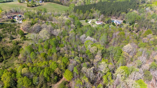 523 Mcdade Rd, Tryon, NC 28782
