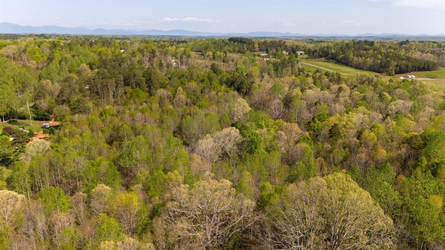 523 Mcdade Rd, Tryon, NC 28782