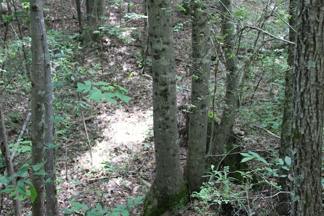 523 Mcdade Rd, Tryon, NC 28782