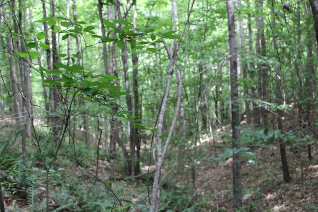 523 Mcdade Rd, Tryon, NC 28782