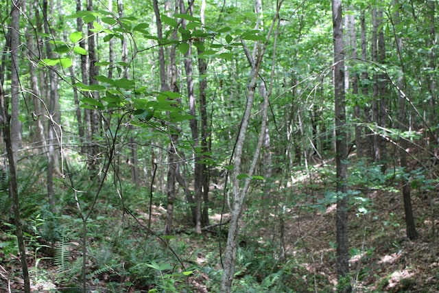 523 Mcdade Rd, Tryon, NC 28782