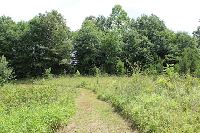 523 Mcdade Rd, Tryon, NC 28782