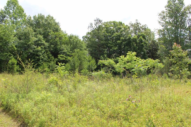 523 Mcdade Rd, Tryon, NC 28782