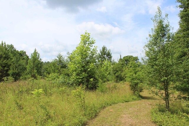 523 Mcdade Rd, Tryon, NC 28782