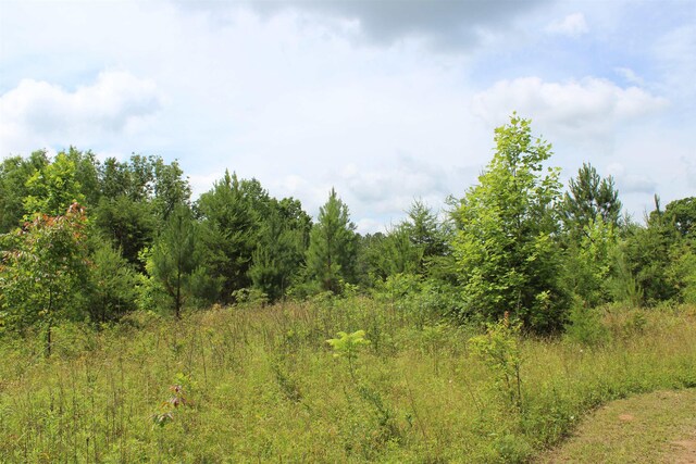 523 Mcdade Rd, Tryon, NC 28782