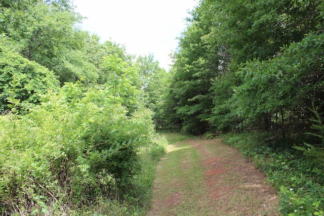 523 Mcdade Rd, Tryon, NC 28782