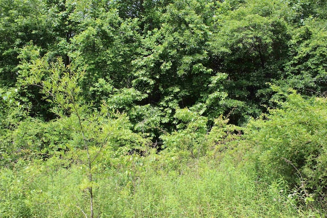 523 Mcdade Rd, Tryon, NC 28782