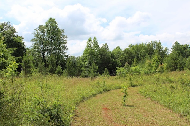 523 Mcdade Rd, Tryon, NC 28782