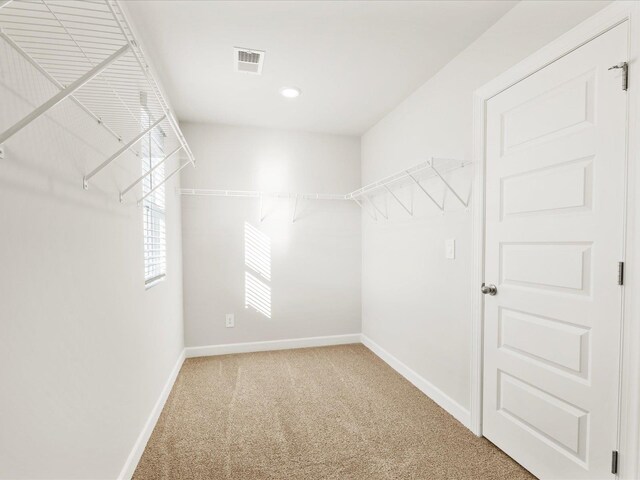 223 Maxwell Dr, Easley, SC 29642 - photo 22