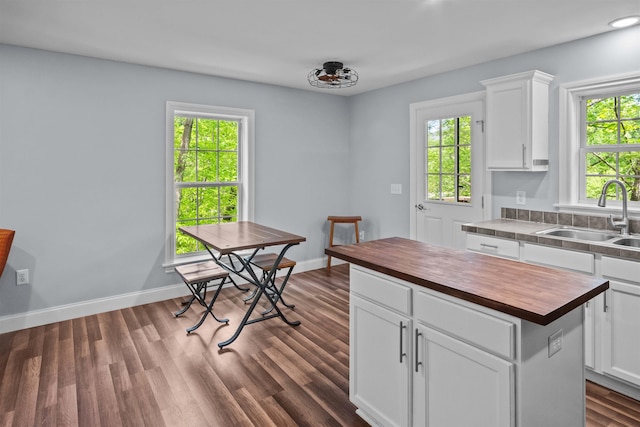 419 Hidden Hill Rd, Tryon, NC 28782 - kitchen with butcher block counters, plenty of natural light, dark wood-type flooring, white cabinets, and recessed lighting