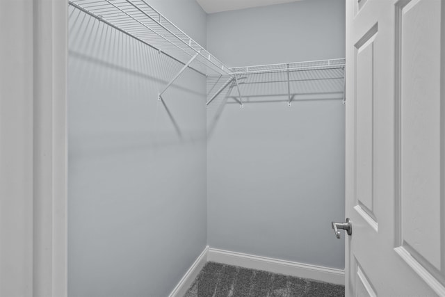 419 Hidden Hill Rd, Tryon, NC 28782 - walk in closet featuring dark carpet