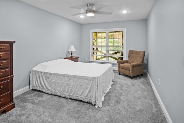 419 Hidden Hill Rd, Tryon, NC 28782 - bedroom with carpet and a ceiling fan