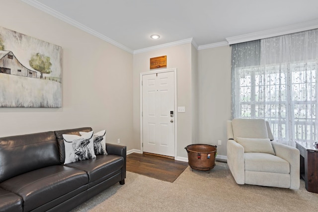 140 Vera Ln, Columbus, NC 28722 - carpeted living area featuring crown molding and recessed lighting