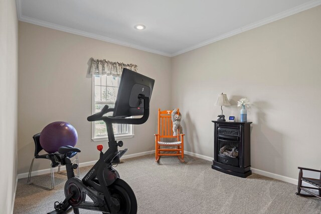 140 Vera Ln, Columbus, NC 28722 - exercise room featuring crown molding and carpet floors