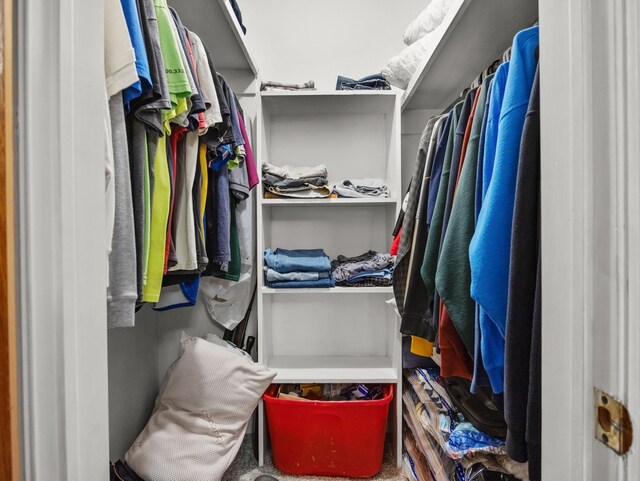 228 Anita Dr, Spartanburg, SC 29302 - view of spacious closet