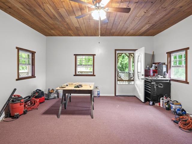 228 Anita Dr, Spartanburg, SC 29302 - rec room with carpet, plenty of natural light, wooden ceiling, and ceiling fan