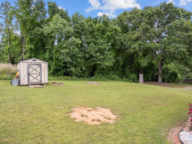 228 Anita Dr, Spartanburg, SC 29302 - view of grassy yard featuring a storage unit
