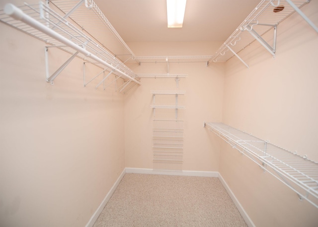 441 Rexford Dr, Moore, SC 29369 - spacious closet featuring carpet flooring
