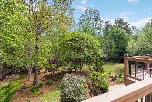 318 Ashwick Ct, Spartanburg, SC 29301 - photo 42