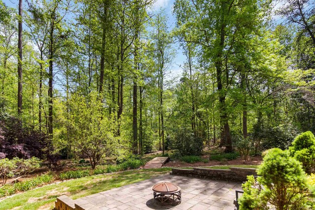 318 Ashwick Ct, Spartanburg, SC 29301 - photo 45