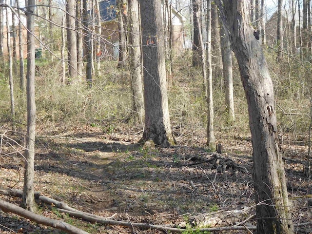 0 Hampton Dr, Gaffney, SC 29341 - photo 2