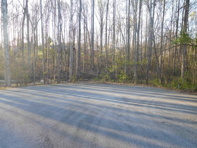 0 Hampton Dr, Gaffney, SC 29341 - photo 4