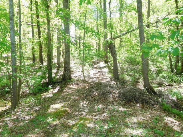 0 Hampton Dr, Gaffney, SC 29341 - photo 5
