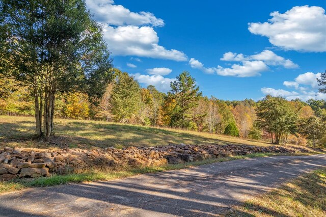 442 Green River Rd, Gaffney, SC 29341 - photo 12