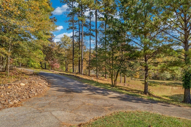 442 Green River Rd, Gaffney, SC 29341 - photo 13
