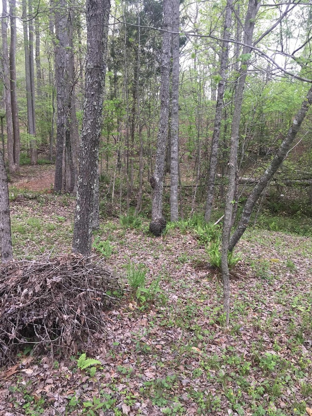 442 Green River Rd, Gaffney, SC 29341 - photo 27