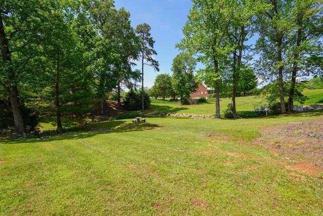 736 Willis Rd, Spartanburg, SC 29301 - photo 12