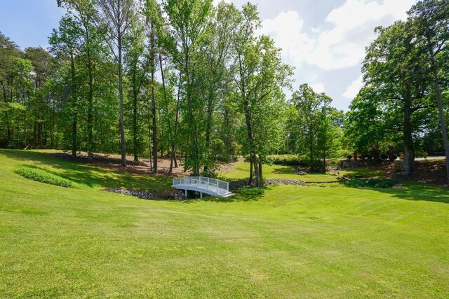 736 Willis Rd, Spartanburg, SC 29301 - photo 14