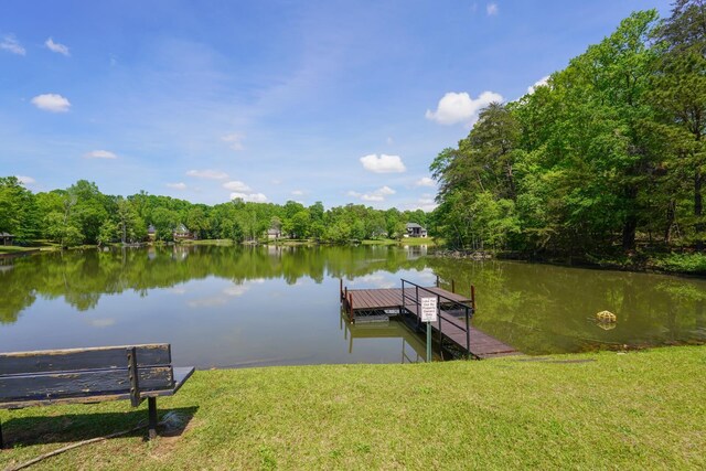 736 Willis Rd, Spartanburg, SC 29301 - photo 15