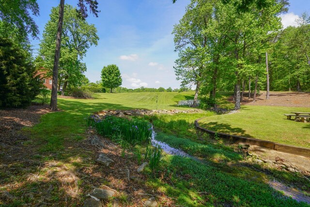 736 Willis Rd, Spartanburg, SC 29301 - photo 28