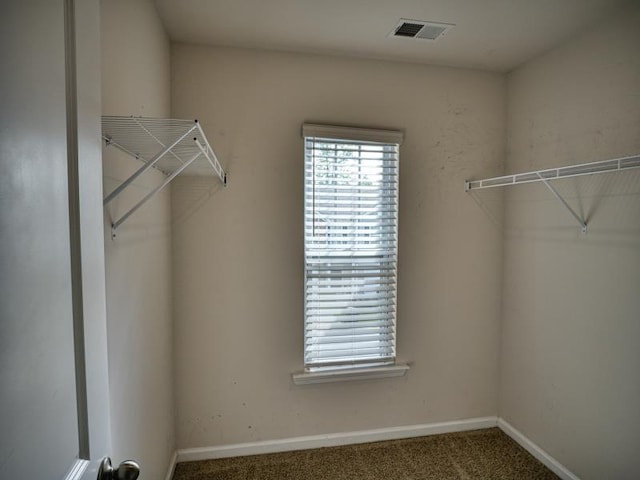 314 Sea Isle Pl, Greer, SC 29650 - walk in closet featuring carpet