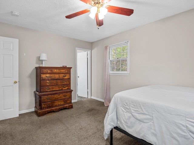 241 Idlewood Cir, Spartanburg, SC 29307 - photo 15