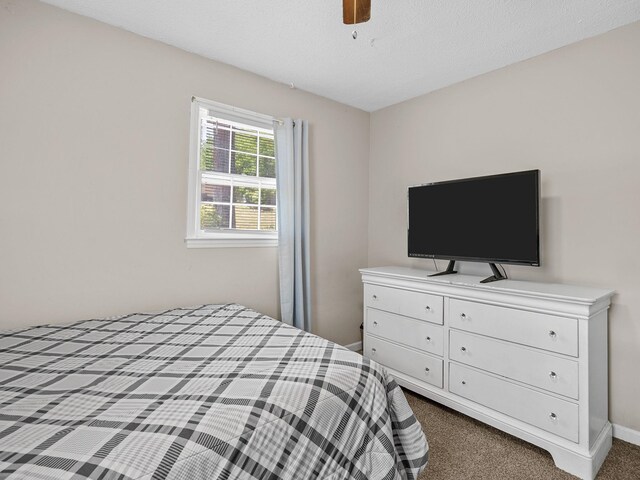 241 Idlewood Cir, Spartanburg, SC 29307 - photo 23