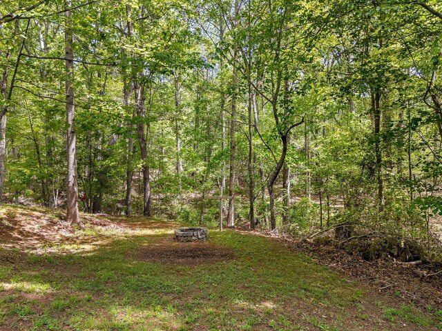 241 Idlewood Cir, Spartanburg, SC 29307 - photo 29