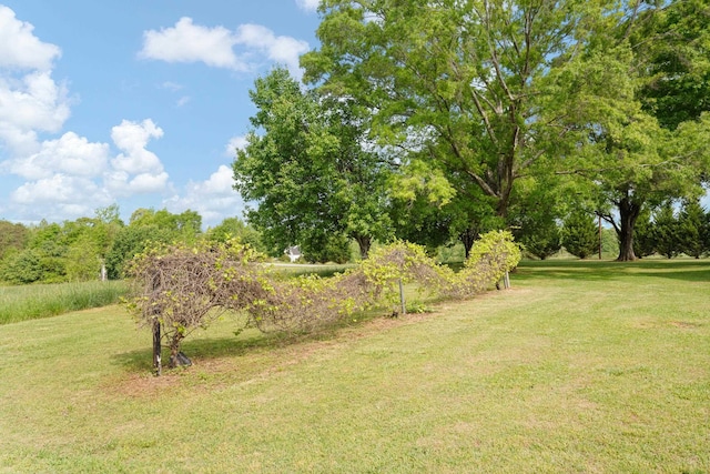 411 Double Branch Rd, Cowpens, SC 29330 - photo 44