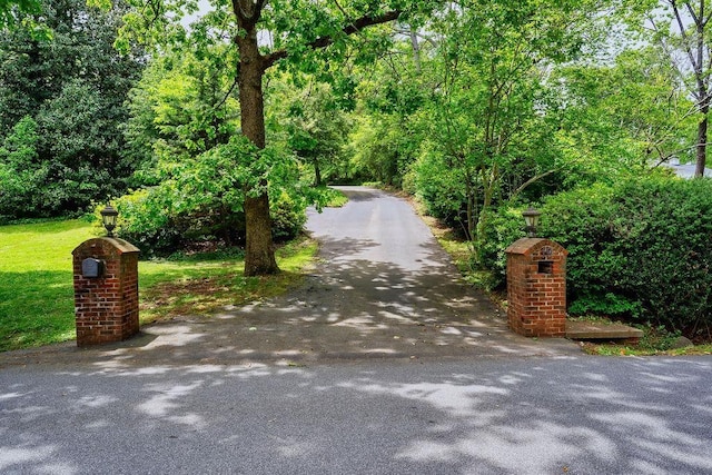 19 Terramont Dr, Greenville, SC 29615 - photo 47