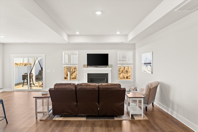 424 Granbury Dr, Duncan, SC 29334 - living area with wood finished floors, a fireplace, and recessed lighting