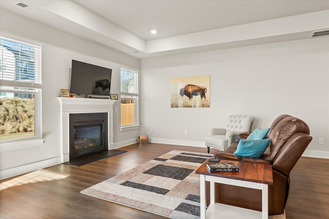 424 Granbury Dr, Duncan, SC 29334 - living room featuring wood finished floors, a glass covered fireplace, and recessed lighting