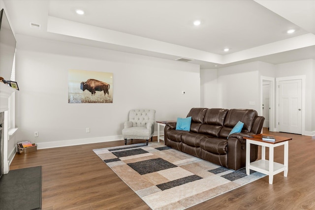 424 Granbury Dr, Duncan, SC 29334 - living area featuring a tray ceiling, wood finished floors, recessed lighting, and a fireplace